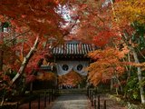 2018京都赤い葉が見える