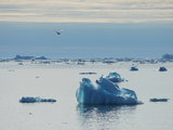 格陵兰：北极圈内300公里，冰山漂浮的夏天（含哥本哈根一日暴走，北极酒店、徒步看鲸鱼喷水、极美海上冰川）（全文完）