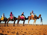 多彩的北非---摩洛哥