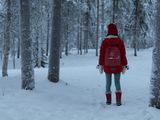 芬兰1月非自驾7日游(含各种雪地活动详情)