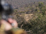 一次难以忘怀的体验，狂野南非狩猎之旅！