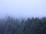 三游大雾山---Great Smoky Mountain