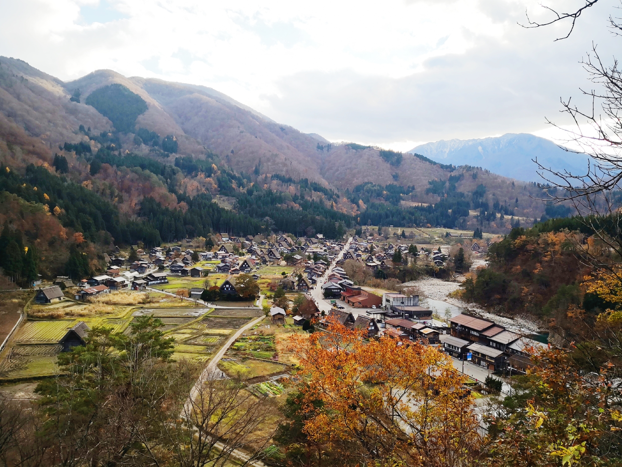 岐阜市游记 攻略 岐阜市自助游游记 攻略 穷游网