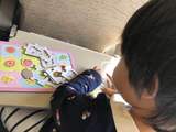 带着2岁宝宝国庆游关西（京都、神户、姬路、大阪、奈良）