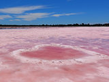 有生之年，一定要自驾一把大洋路，上一次袋鼠岛，看一眼粉红湖