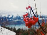 瑞士冬季三日世外雪山湖光游：卢塞恩+因特拉肯+比腾堡+苏黎世