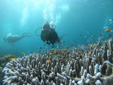 【菲律宾 】海底世界迷人 | 岛国风情动人 | OW+AOW学习档案