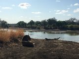 亚欧非90天——最后一站赞比亚的野生动物2018.10.28