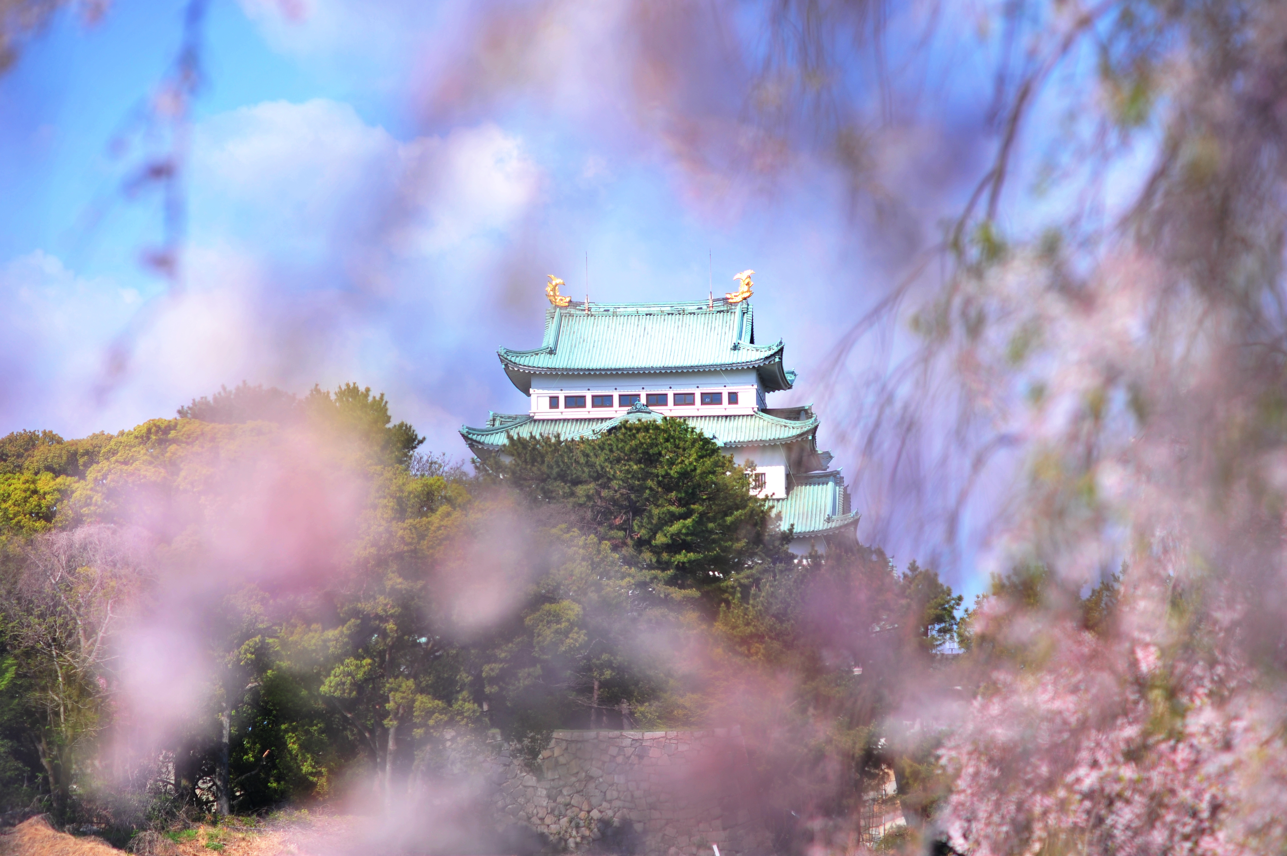 华枝春满 新绿寻踪 古寺禅院与樱花美食的邂逅 名古屋 伊势 京都 宇治 吉野山 大阪造币局美樱 8天7晚游历 日本