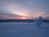 在芬兰独自旅行的25天（三） | 拉普兰，我来啦！（下）