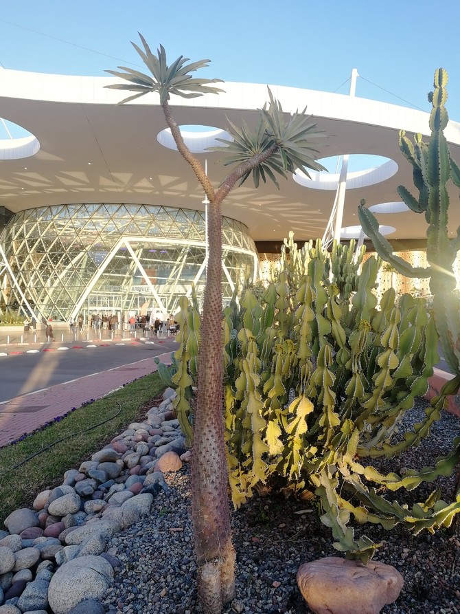 马拉喀什迈纳拉国际机场旅游图片 马拉喀什迈