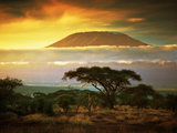 坦桑尼亚九日——wildest dreams 五月去坦桑尼亚看动物和花海，赤道上