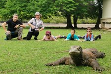 琳姨在印尼：科莫多国家公园观巨蜥