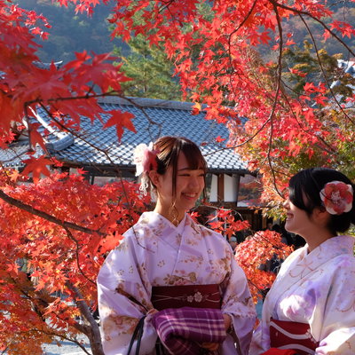 18 11月底京都最盛期的狩枫行 下鸭神社琉璃光院 鞍马山 贵船神社天龙寺 宝厳院东福寺永观堂夜枫 日本 论坛 穷游网