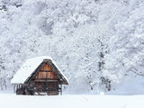 只愿与你老了后慢慢回忆-------最美雪国之日本乡行