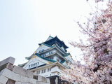 【樱花季】4月你见过樱花了嘛——日本关西双人游，清明节（6天7夜）