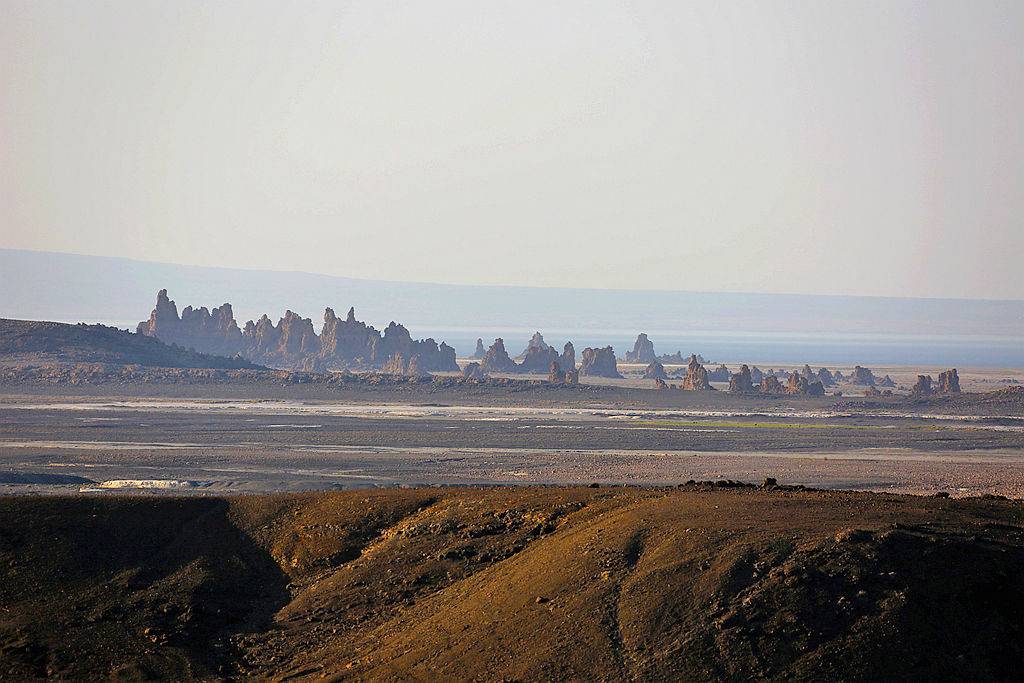 诡异的阿贝湖奇观-吉布提游记