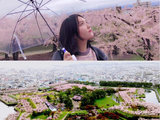 四月底约人一起去青森看樱花 会日语，有日本旅行20+以上的经验。94年女生。 准