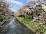 2019春 慢行北陆 樱与雪的风物诗 加贺温泉乡、永平寺、金沢、富山五箇山、朝日町、宇奈月纪行