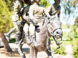 澳大利亚历史：讲述一匹叛逆轻马的传奇故事和澳洲军团日的历史渊源