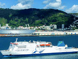新西兰南北岛渡轮InterIslander预定及搭乘经验分享