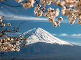 山海升龙道， 富士樱吹雪  ----2019春，日本中部10天