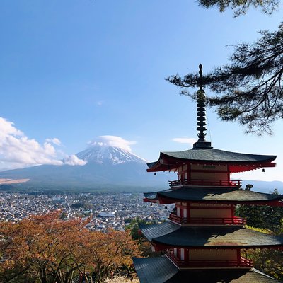 少了樱花 富士山看个够 樱吹雪富士小旅行 填坑ing 日本 旅行购物 论坛 穷游网