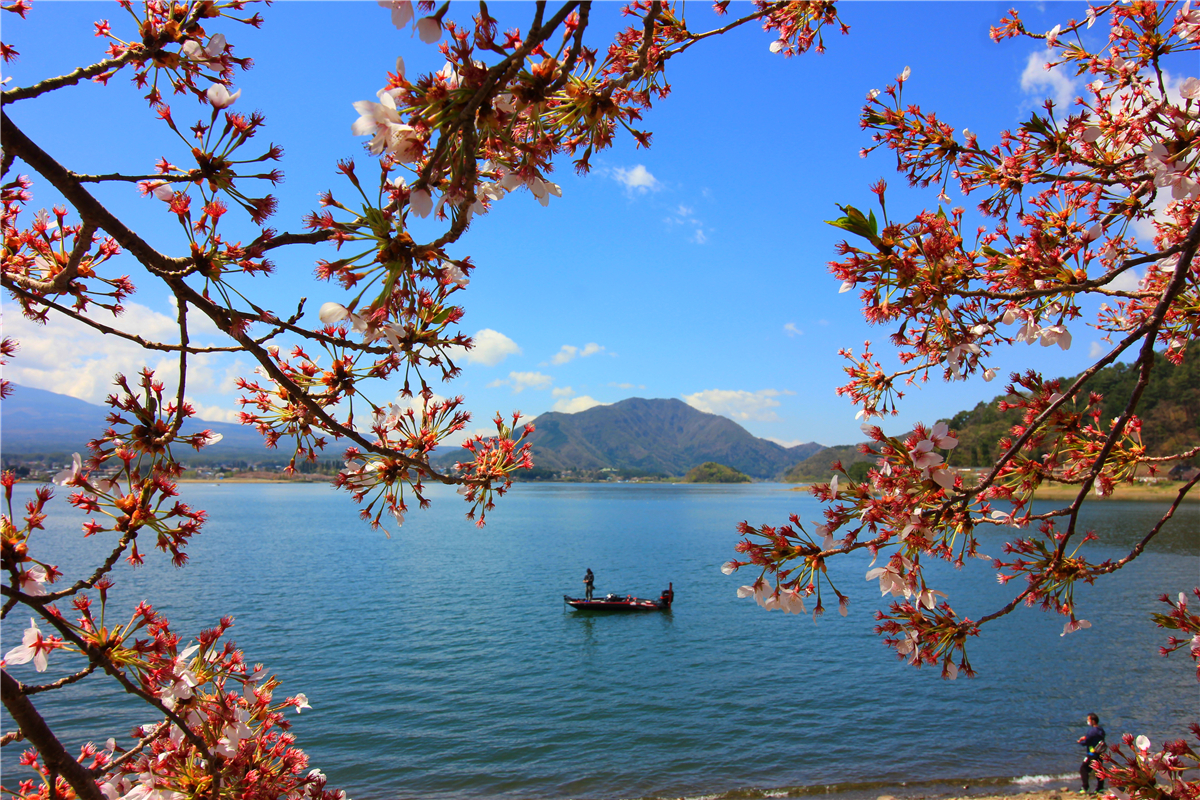 跟着我的脚步一起去东京品美食 看美景 买买买 日本 论坛 穷游网