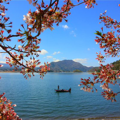 跟着我的脚步一起去东京品美食 看美景 买买买 日本 论坛 穷游网