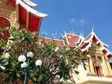 老挝，村上春树与梦境之地（琅勃拉邦、万象、四千美岛全景10日）