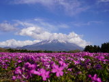 六年八次日本行之：五一富士山芝樱季+《你的名字》圣地巡礼打卡之旅
