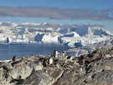 南极，并不遥远  (从南极圈66°33′到南纬68°17′，真正登上南极大陆)