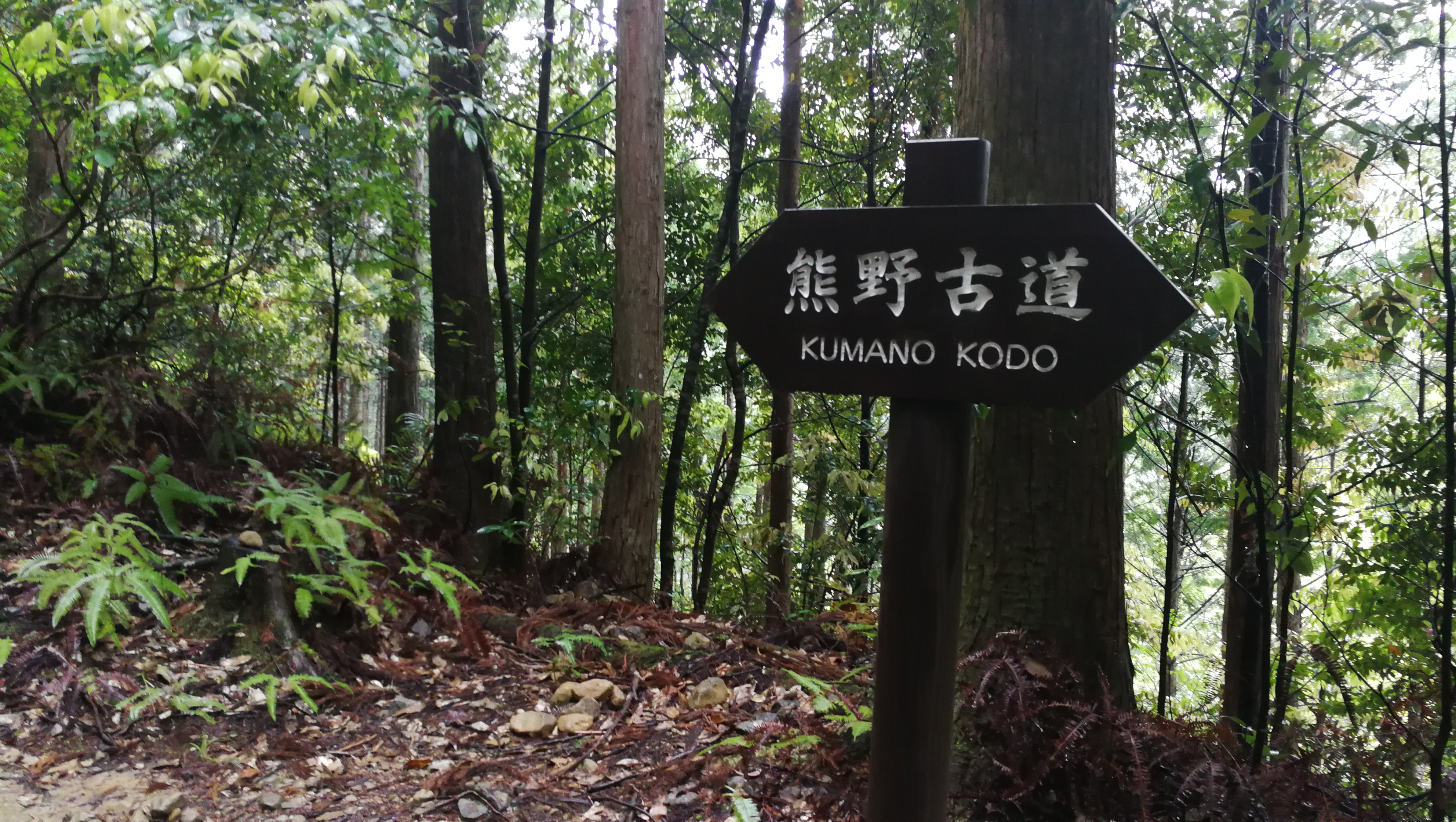 带娃行走在日本和歌山 白浜 熊野三山 奈良 大阪 含那智大社 本宫大社 熊野古道徒步详细交通 列车时刻表及地图 日本 带孩子旅行 论坛