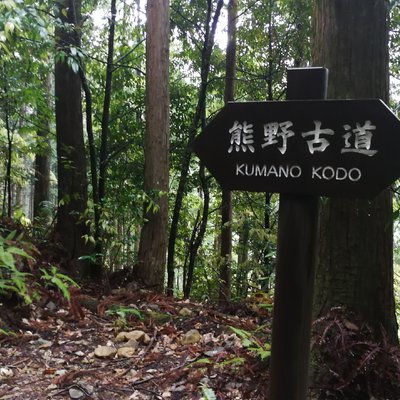 带娃行走在日本和歌山 白浜 熊野三山 奈良 大阪 含那智大社 本宫大社 熊野古道徒步详细交通 列车时刻表及地图 日本 带孩子旅行 论坛