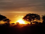【走向非洲】在无边的旷野上——坦桑尼亚狂想曲