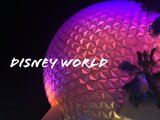 2019年佛州乐园（环球影城，迪士尼世界，Busch Gardens，Sea World）