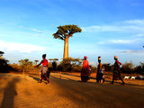 探险马达加斯加：从原始到文明的蜕变（山人游记26）