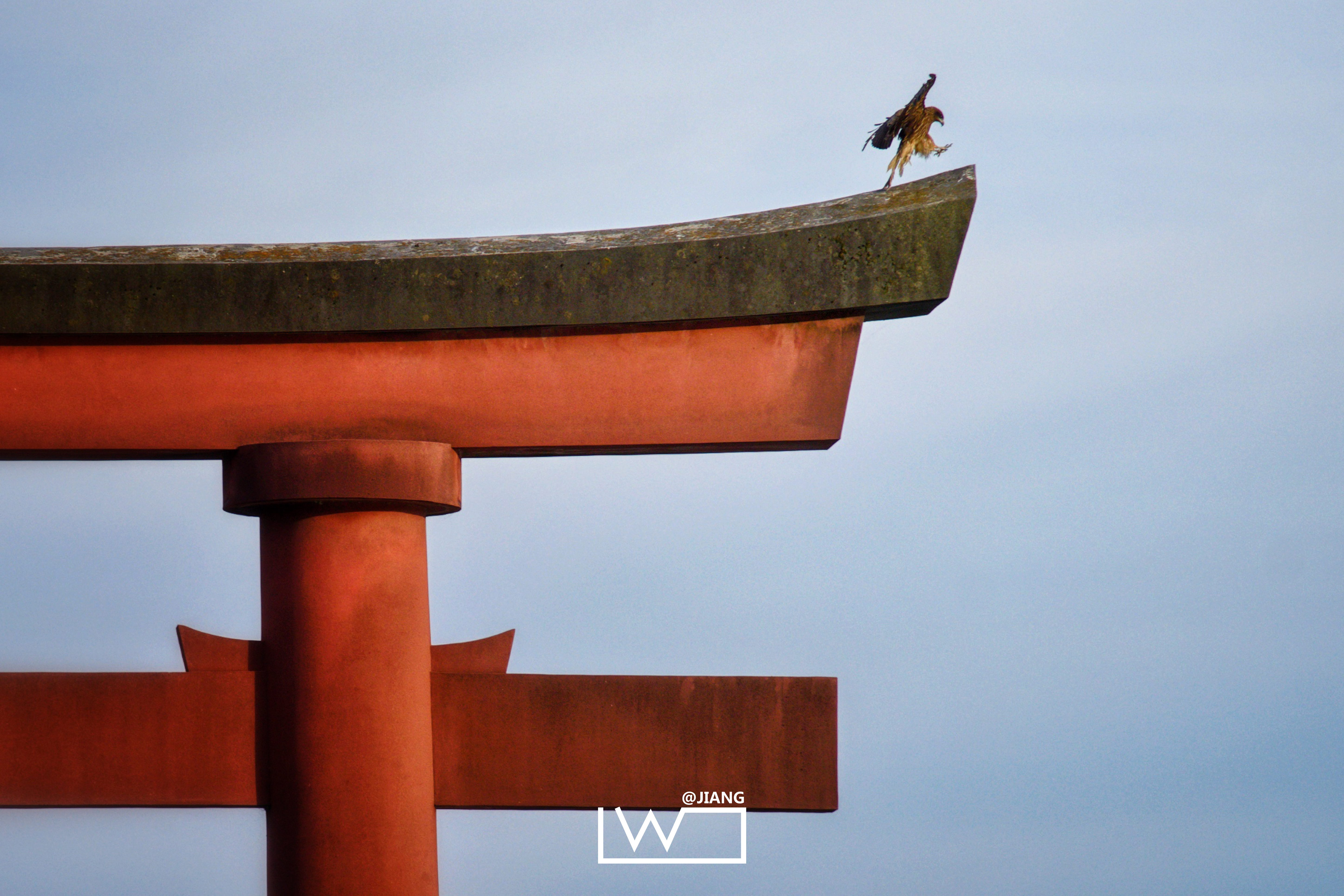 随心所想的日本之旅 看建筑 京都小众景点 伊豆半岛泡汤 日本 旅行摄影 论坛 穷游网