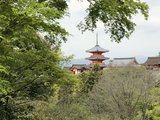 樱花季--东京、富士山、京都、大阪、宇治、奈良，11天10晚浪漫二人行