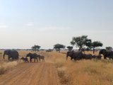 肯尼亚-坦桑尼亚11天Safari画圈之旅（游记+攻略大全）