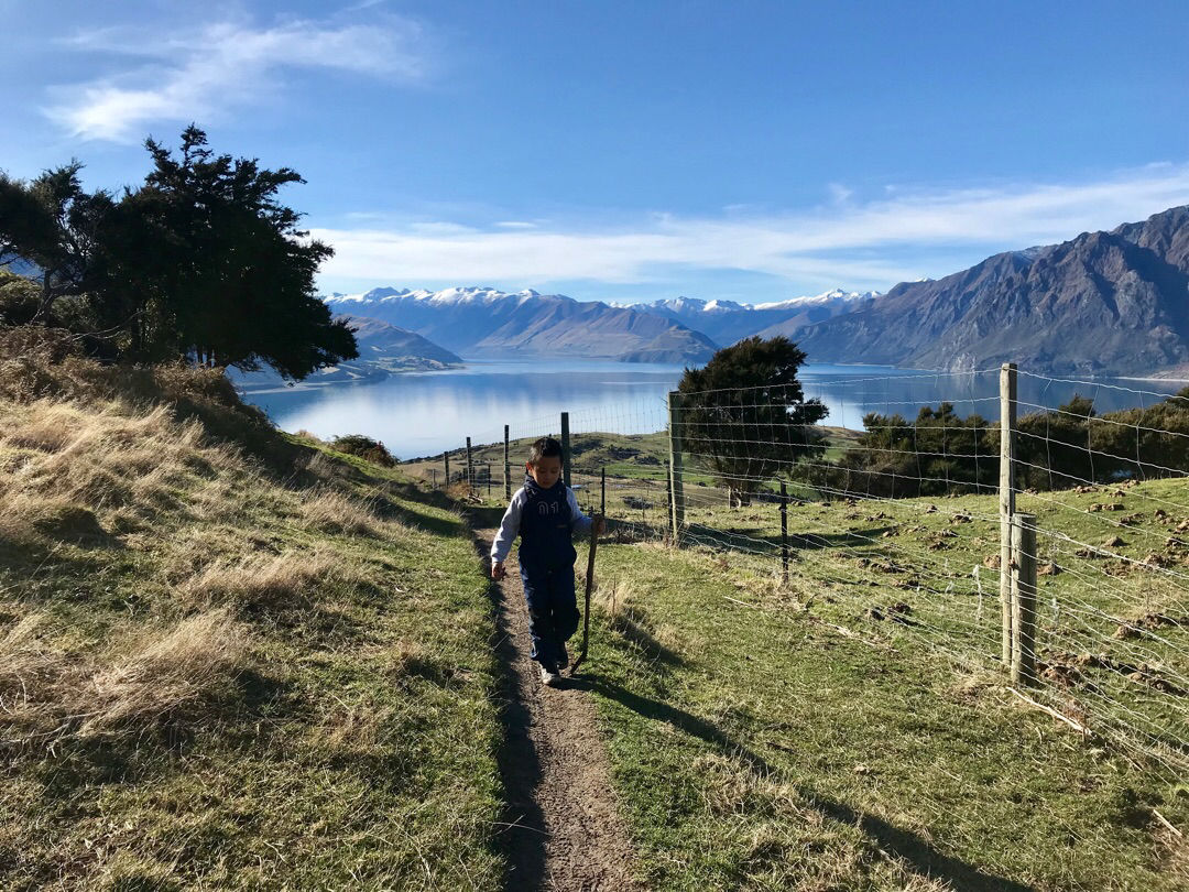 求问新西兰自驾儿童安全座椅问题