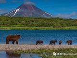 北太平洋的生态基因库——南堪察加自然保护区（South Kamchatka Sanctuary）