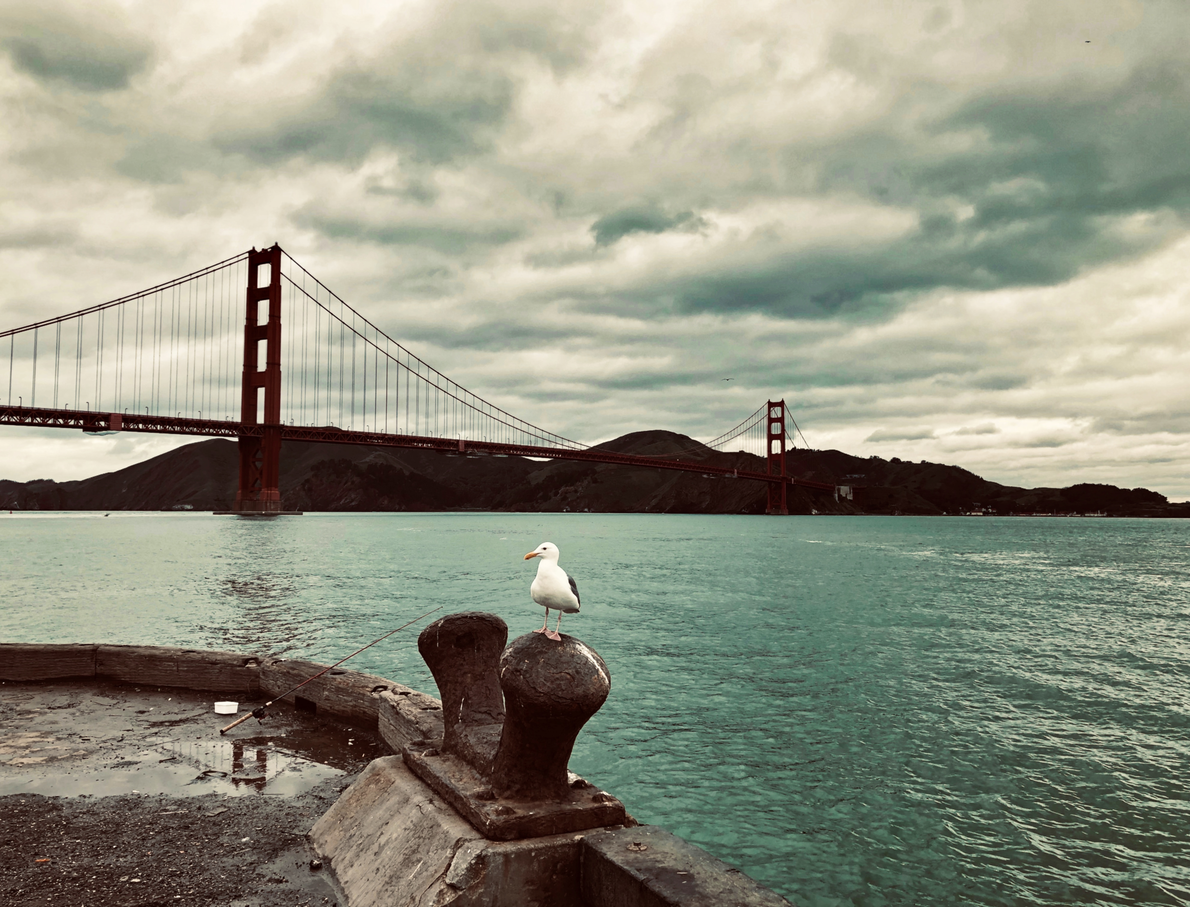 美签预约后成功修改自己和同行人ds 160 签证 论坛 穷游网