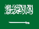 关于申请沙特电子签证详细攻略（2019.10.8更新）