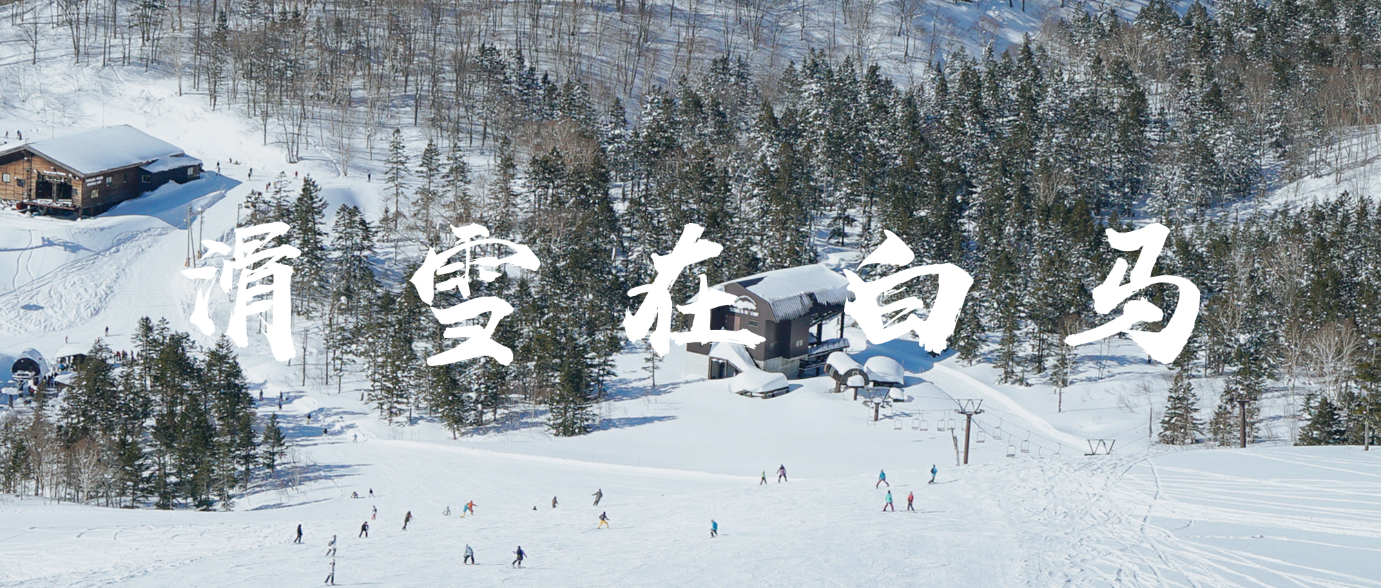 日本滑雪攻略 滑雪在白马 日本 户外运动 论坛 穷游网