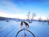2019踏雪千里，只为那一道光——北欧五国追光之旅（挪威瑞典芬兰丹麦爱沙尼亚）