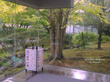完美错过台风季和红叶季的京都大阪奈良宇治游