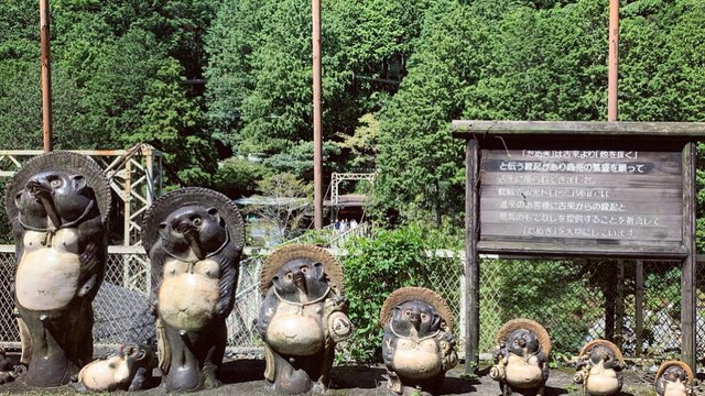 府立保津峡自然公園景点观光攻略 府立保津峡自然公園地址 府立保津峡自然公園门票查询预订 穷游网移动版