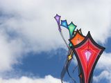 澳洲乡村里的风筝情——Harden风筝节