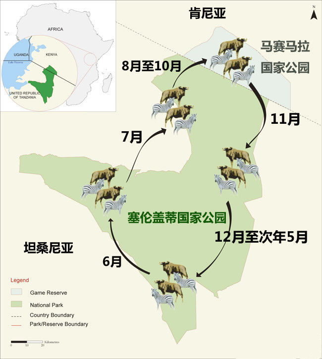 坦桑尼亚人口_坦桑尼亚地图